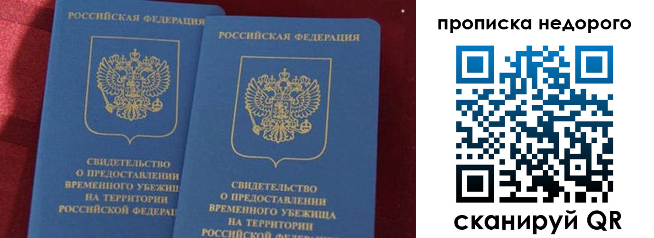 прописка гарантия в Димитровграде